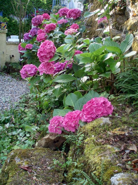 Moulin De Cornevis Bed&Breakfast Privas Buitenkant foto